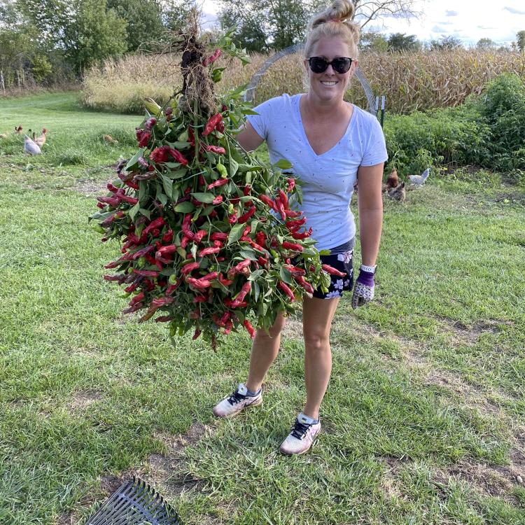 woman holding large bunch of red peppers