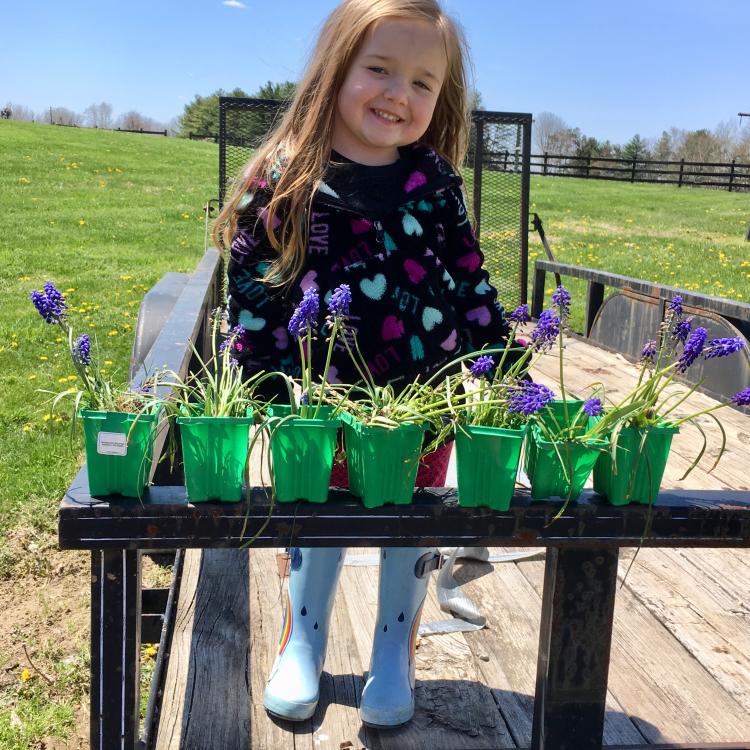 small girl stands behind row of plants in green containers
