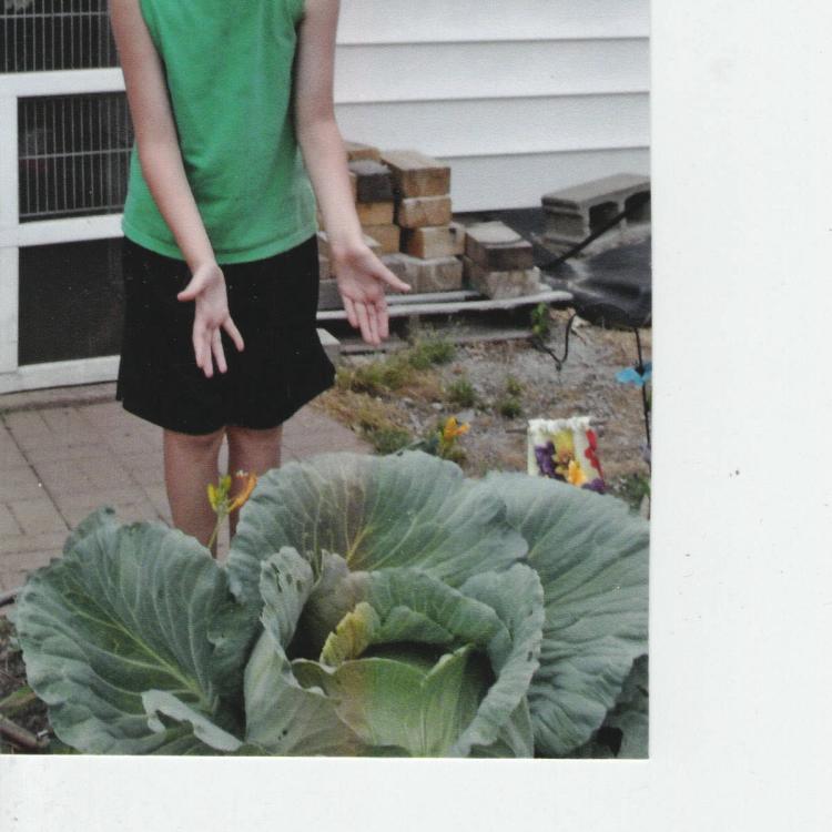 blond boy stands behind very large green plant