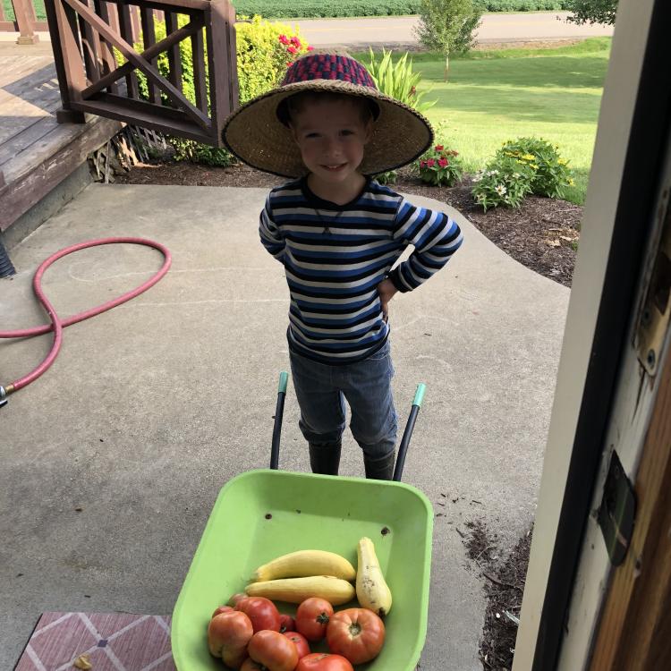 little boy in straw hat stands behind wheelbarrow full of tomatoes and squash
