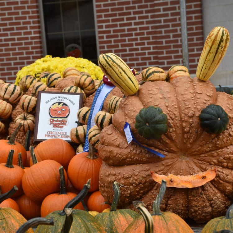 large caterpillar sculpture made of pumpkins and gourds