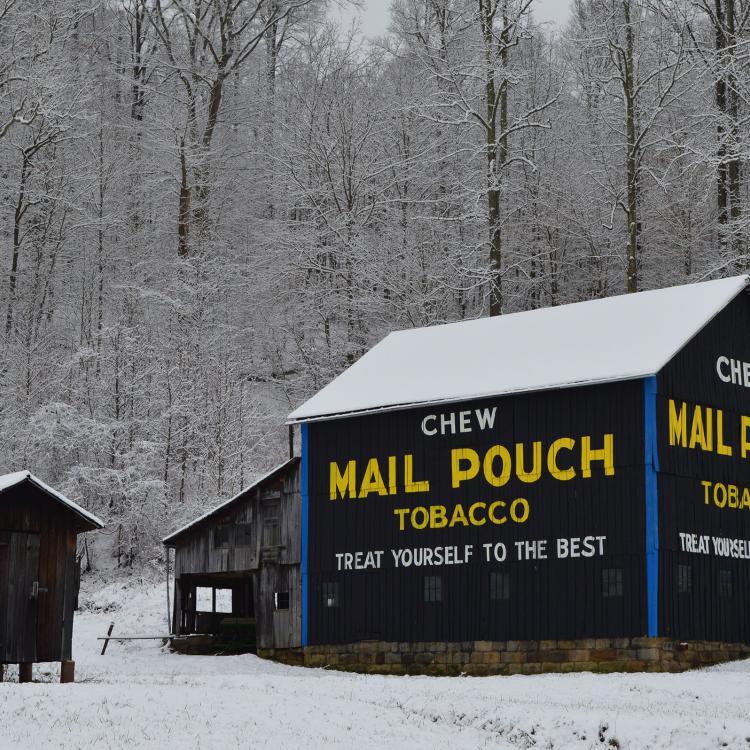 Black barn with Mail Pouch logo in front of snowy forest