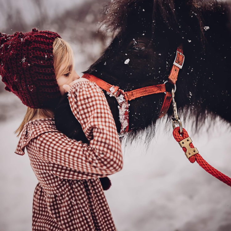 Little girl kisses pony's nose in snow