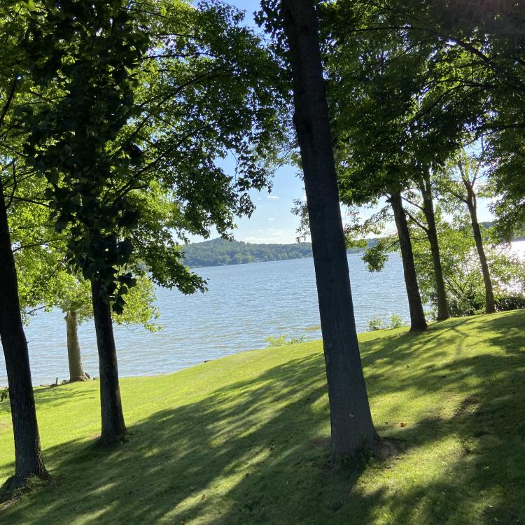 sun shining through trees on lake shore