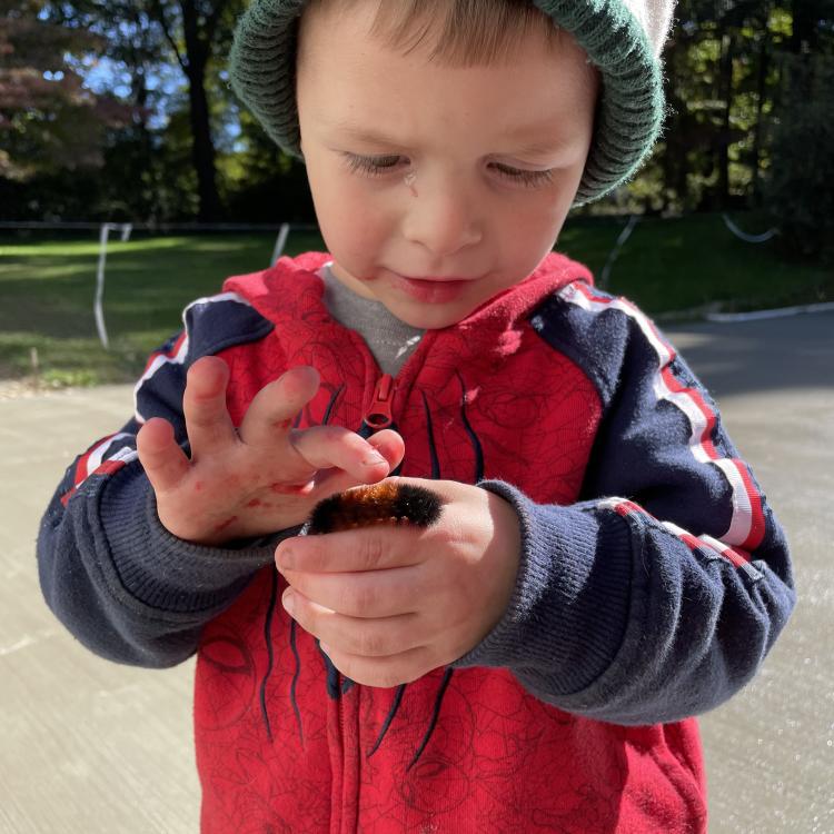 Small boy in jacket and hat holds woolly worm on one hand and pets it with the other