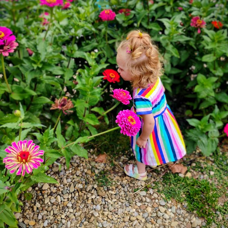 little girl among pink flowers