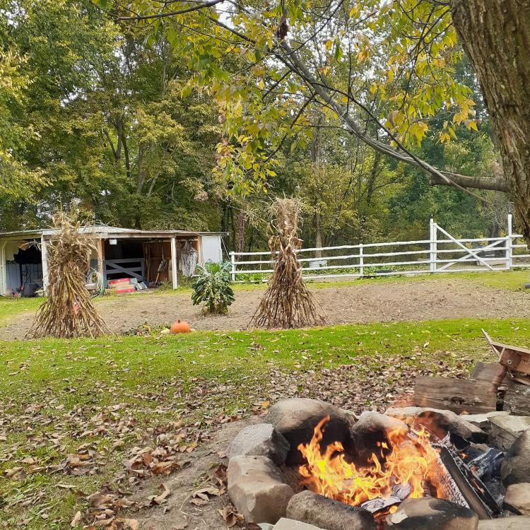 campfire with cornstalks and pumpkins in background