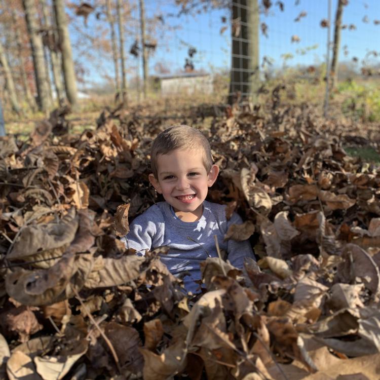 little boy in leaf pile