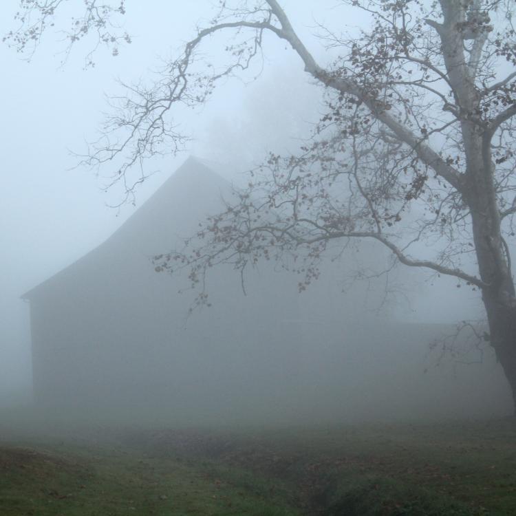 Dark silhouette of a barn in dense fog