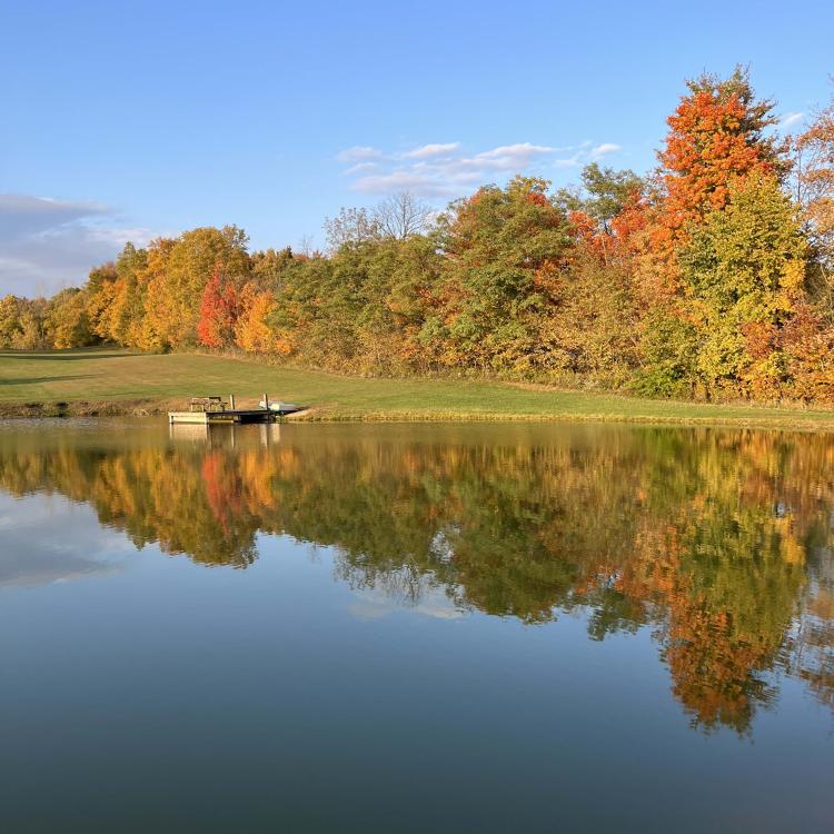 autumn trees reflected on pond