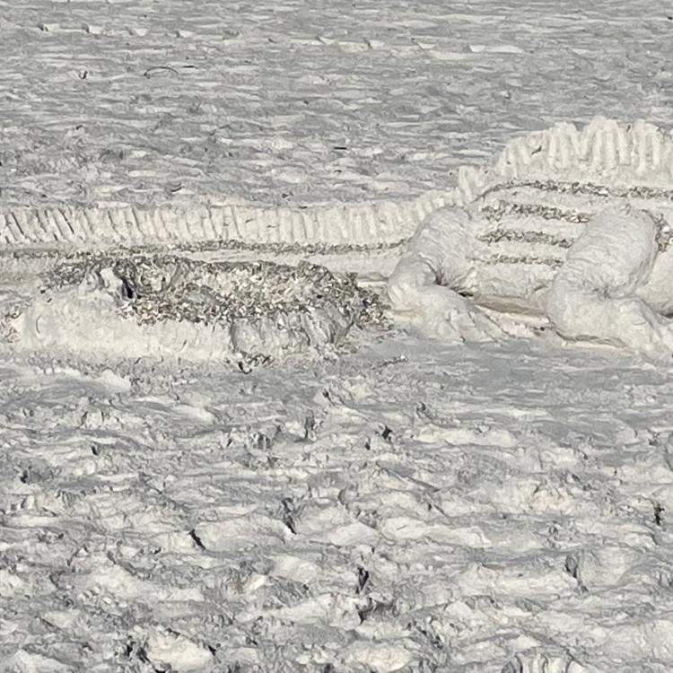 alligator sand sculpture