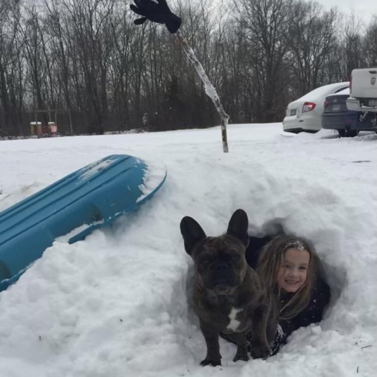 girl and dog in snow