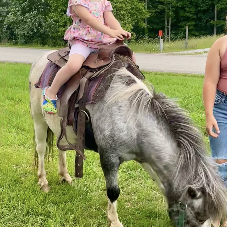 little girl on pony