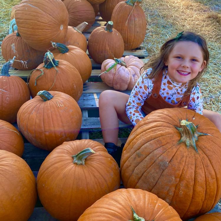 little girl on pallet with pumpkins