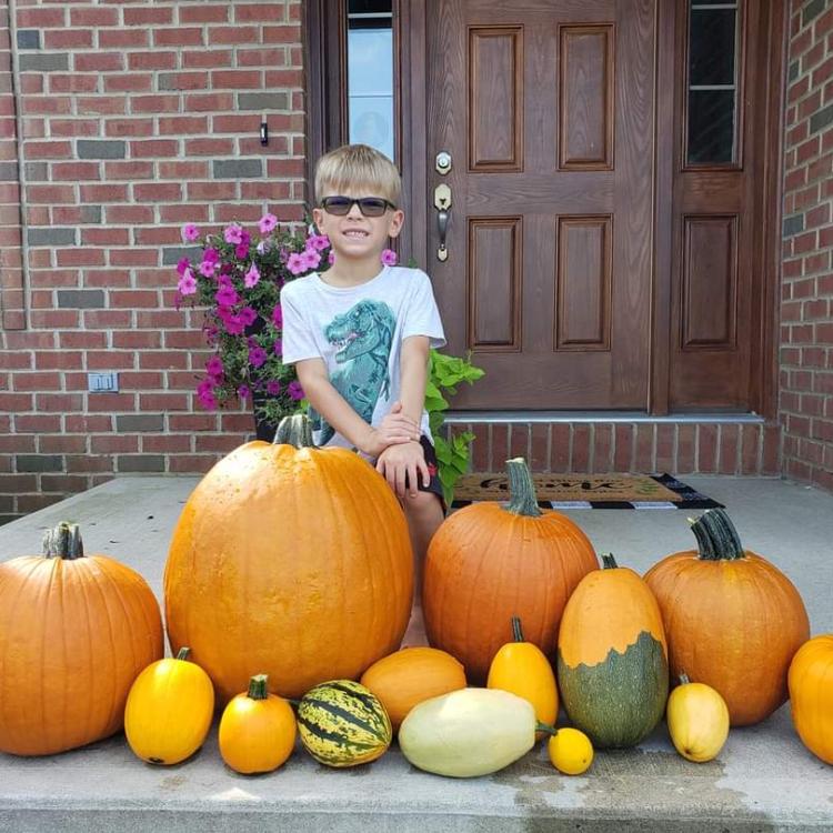 boy sitting behind display of pumpkins and gourds