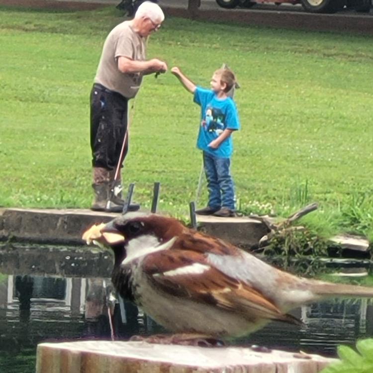 boy and man fishing