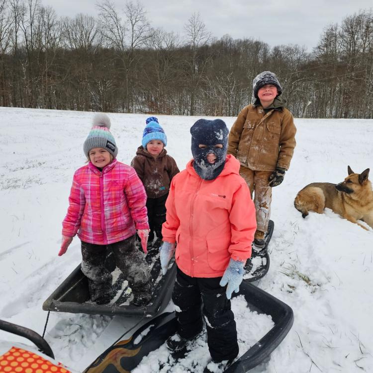 kids standing on sleds in snow with dog
