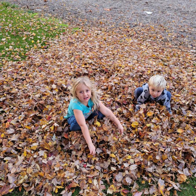 two children play in large leaf pile