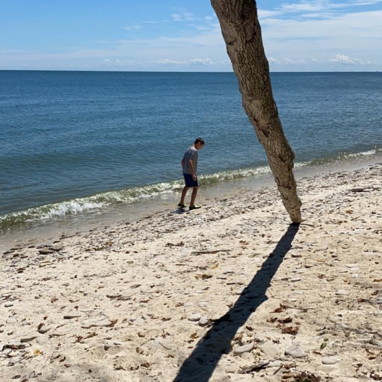 person walking along sandy lake shore