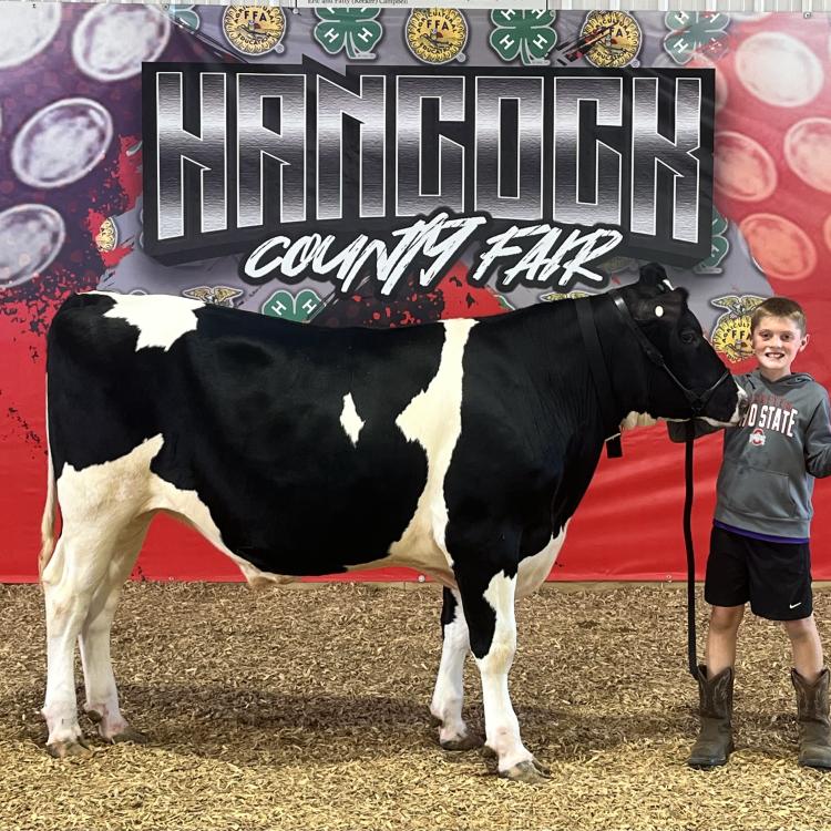 boy with steer