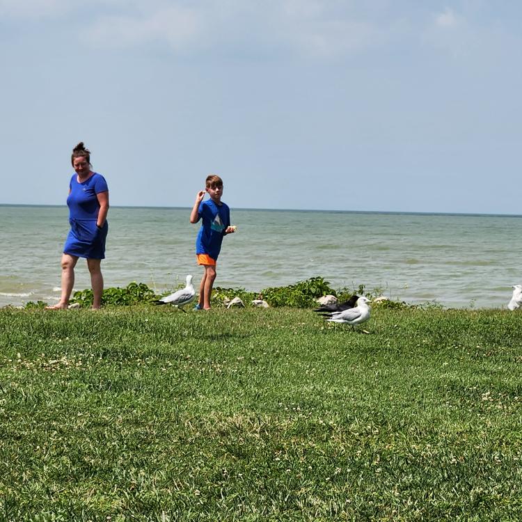 woman and boy feeding seagulls