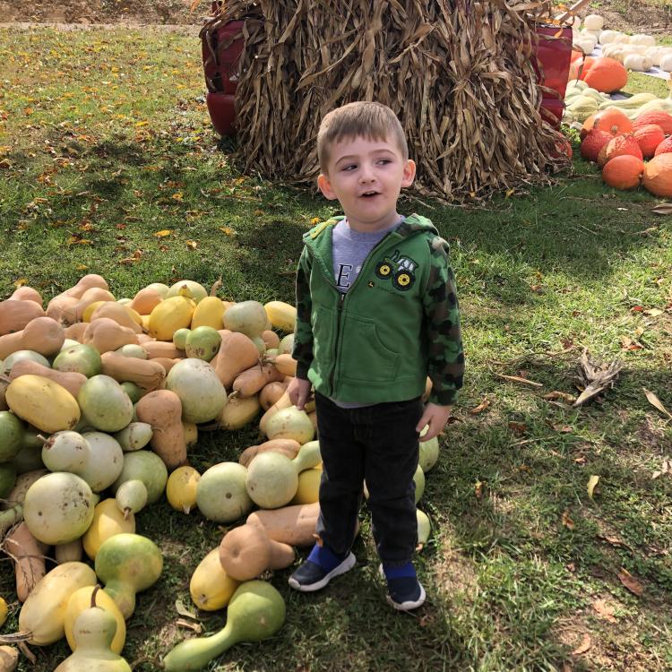 little boy next to pile of gourds with pumpkins in the background