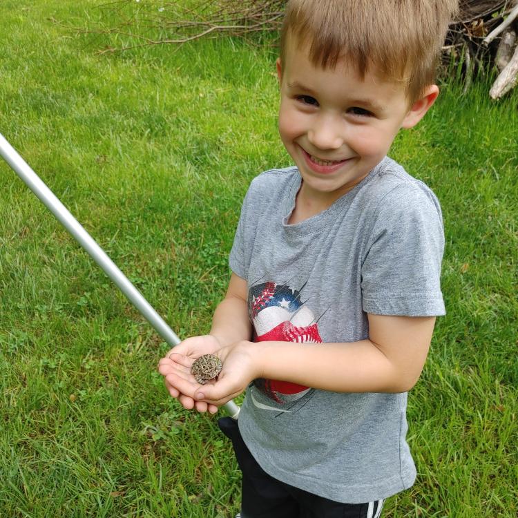 smiling little boy holding small toad