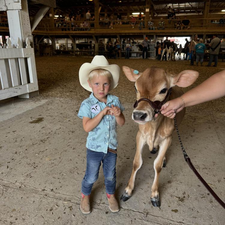 little boy with calf