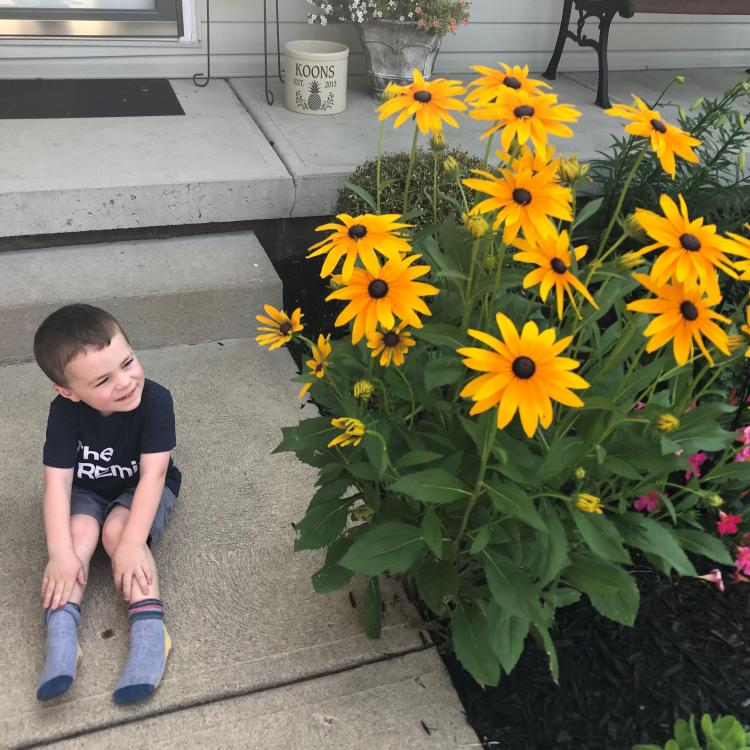 little boy by black-eyed Susans