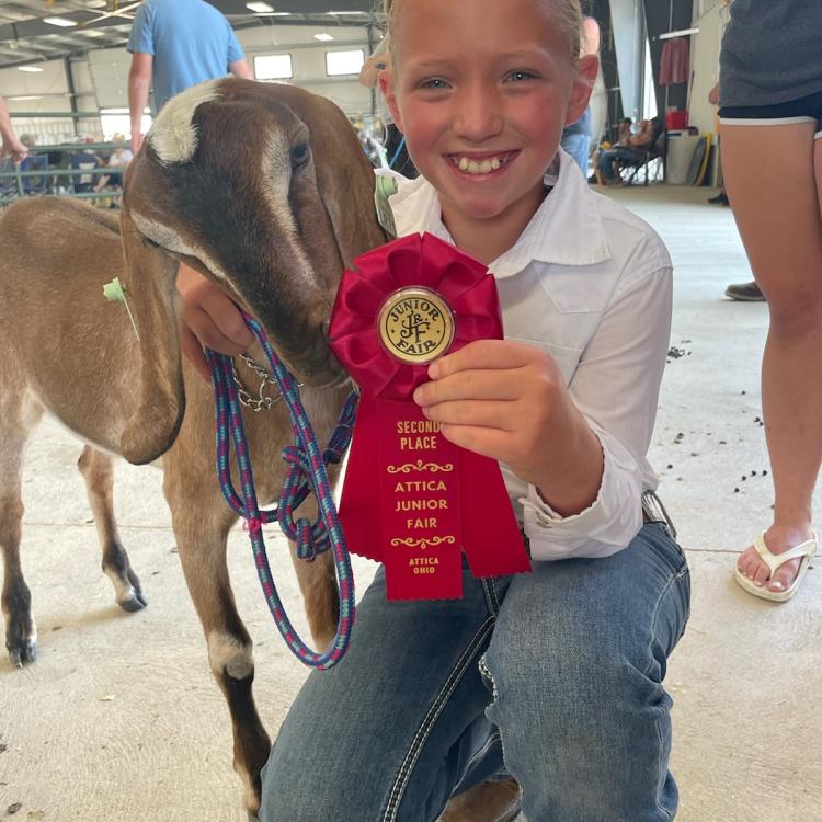 little girl with goat and red ribbon
