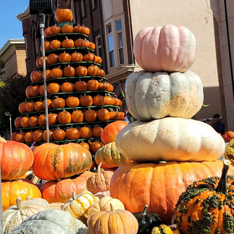 pumpkins piled in a pyramid