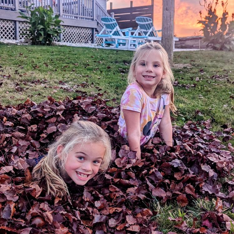 two little girls in leaf pile