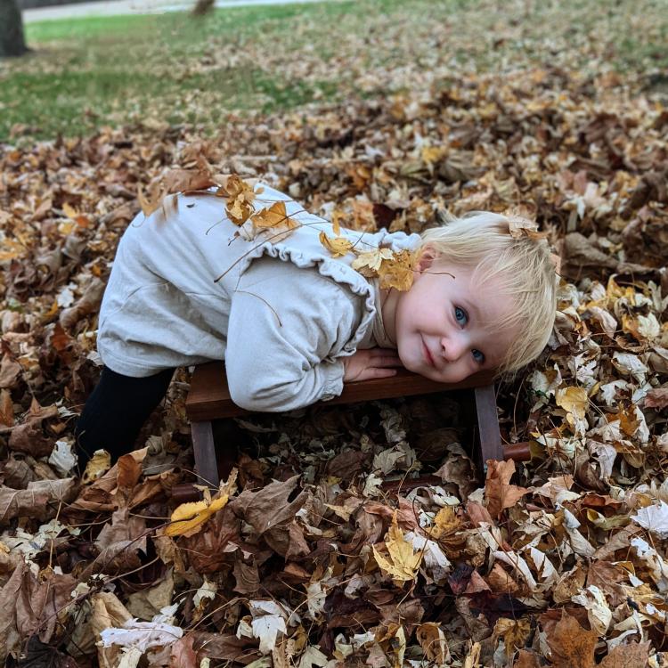 little girl in leaf pile