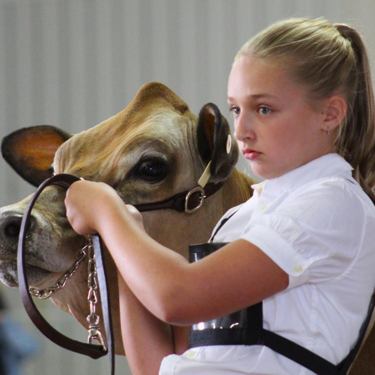 girl with cow