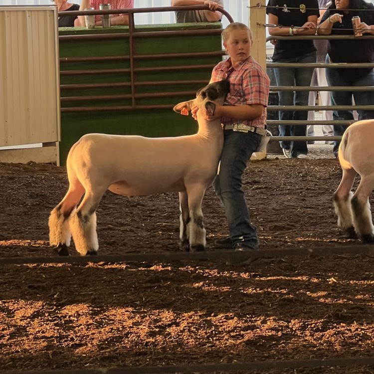 girl with sheep