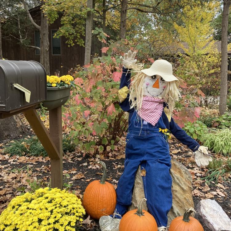 scarecrow and pumpkins in front of fall trees