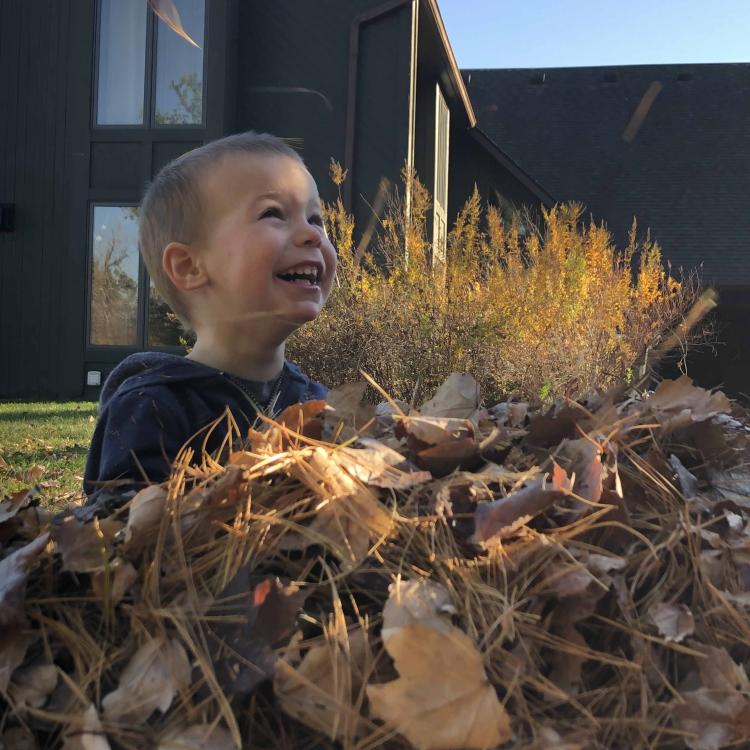 smiling boy in leaf pile