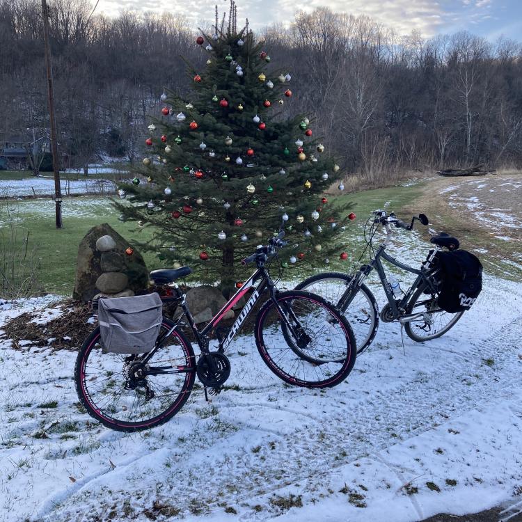 bikes in snow by decorated tree