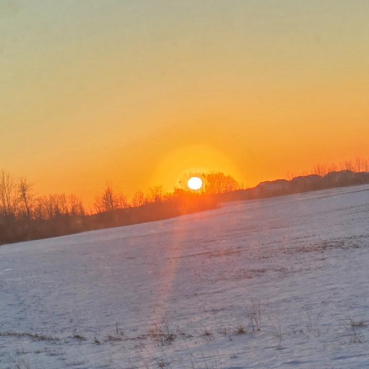 sun over snowy field