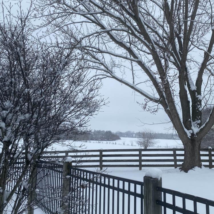 snowy yard, fence, and field beyond
