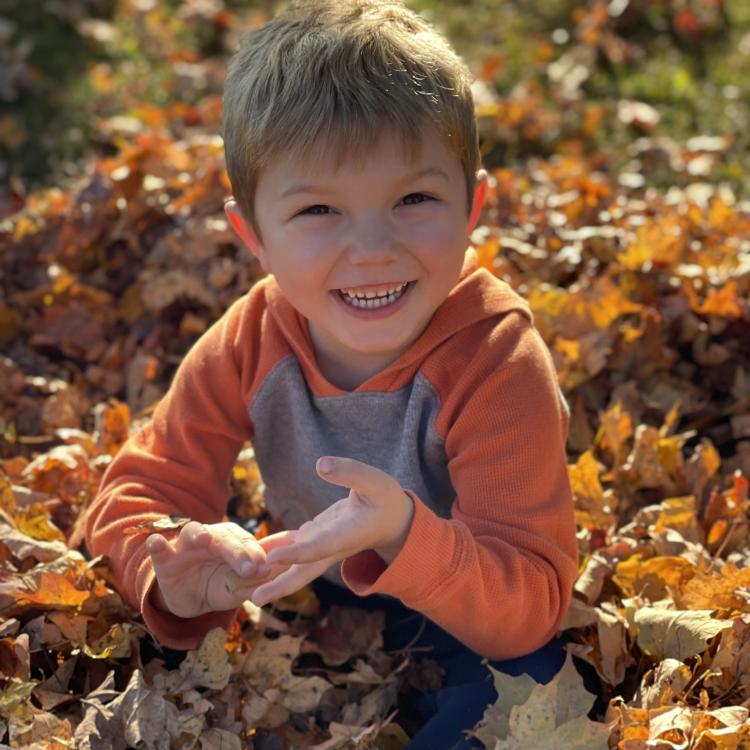 little boy in leaf pile