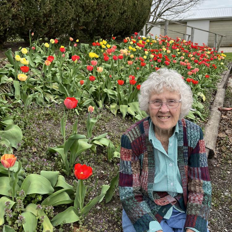 woman sits in front of red and yellow tulips