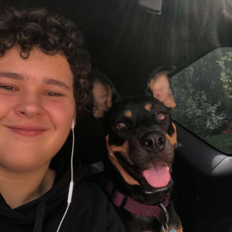 black and brown dog next to teen