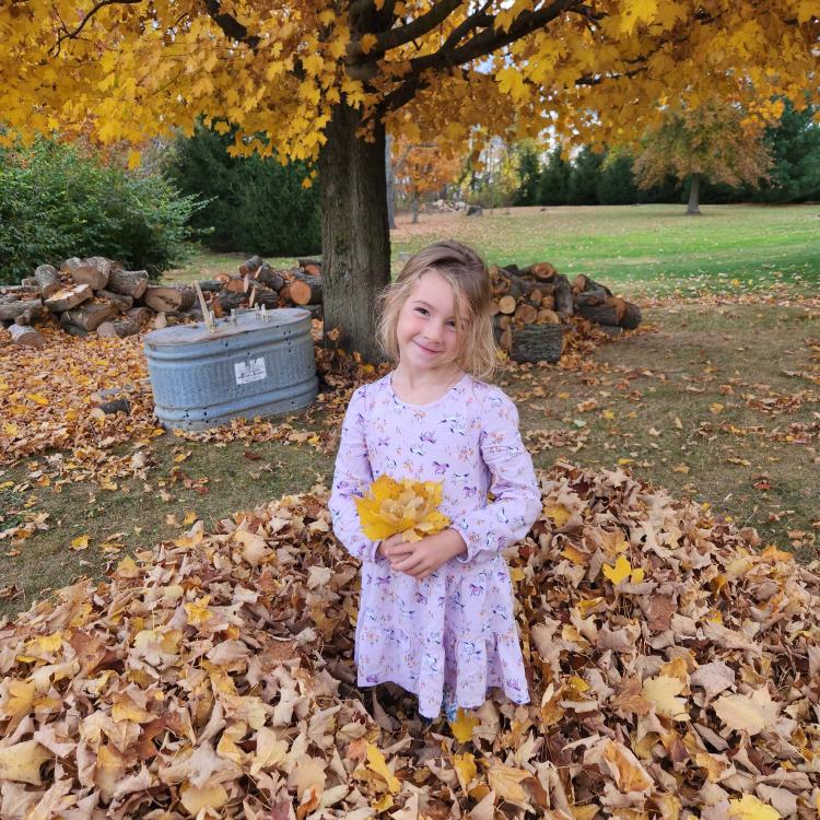 little girl in pink dress poses stands in leaf pile