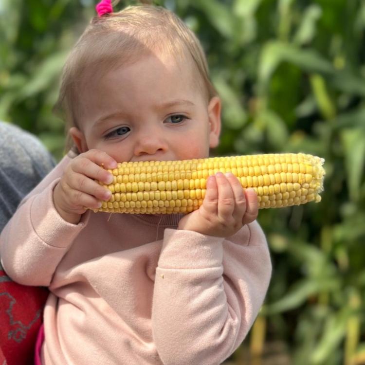 baby girl holding corn on the cob