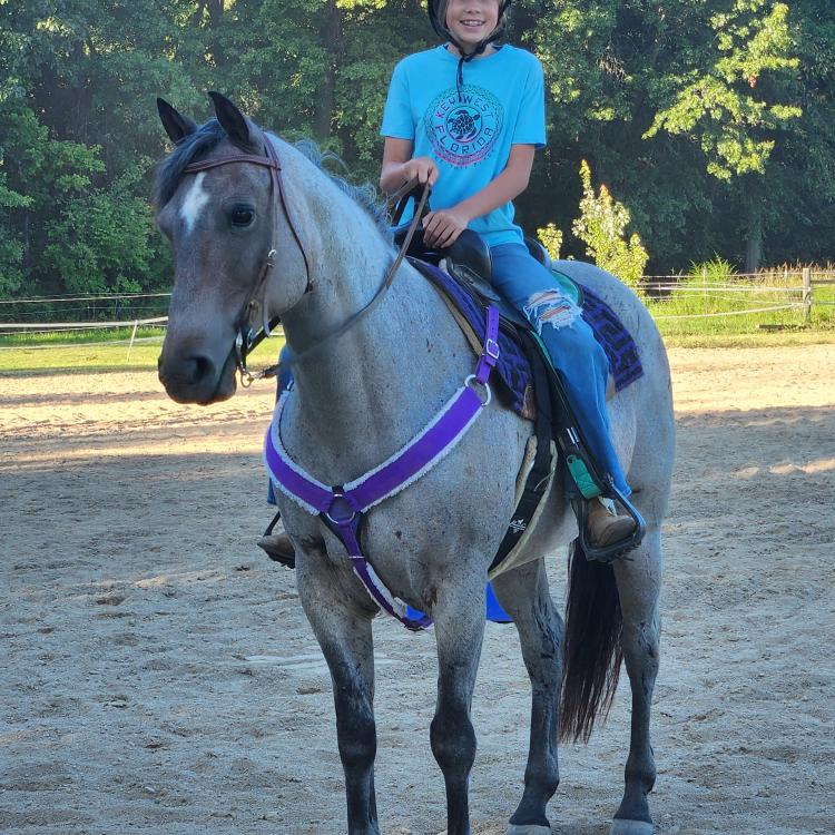 girl on horse in arena