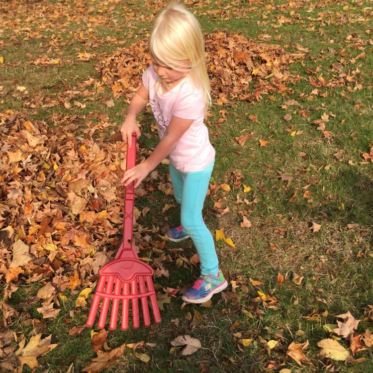 little girl raking leaves