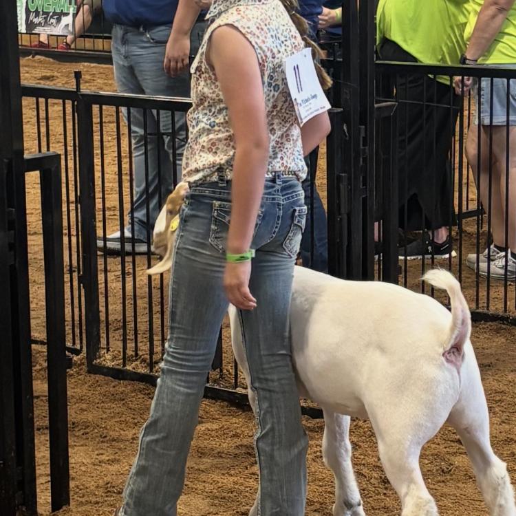 girl with goat
