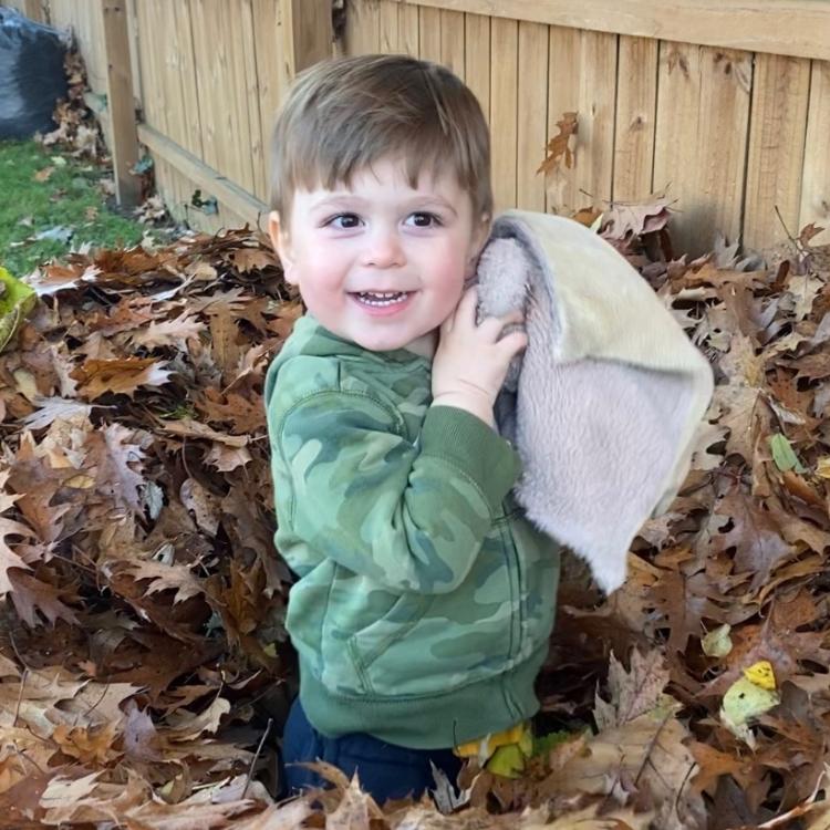 little boy in leaf pile