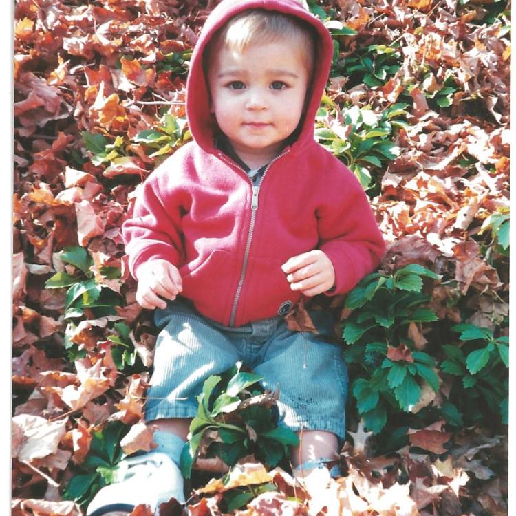 baby in red jacket sits among leaves